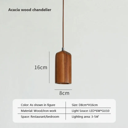 Houten Hanglamp modern